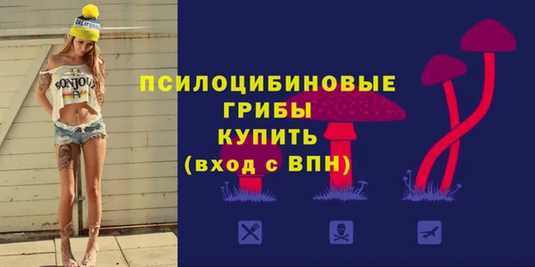 сатива Абинск