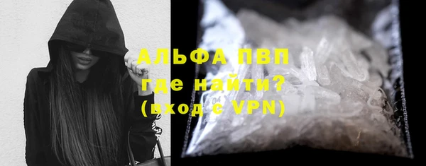 гидра Абаза