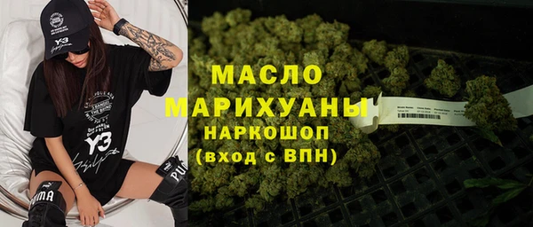 гидра Абаза