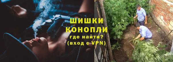 гидра Абаза