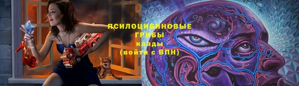 гидра Абаза