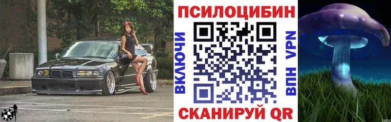 Галлюциногенные грибы Psilocybine cubensis  blacksprut как войти  Инза 